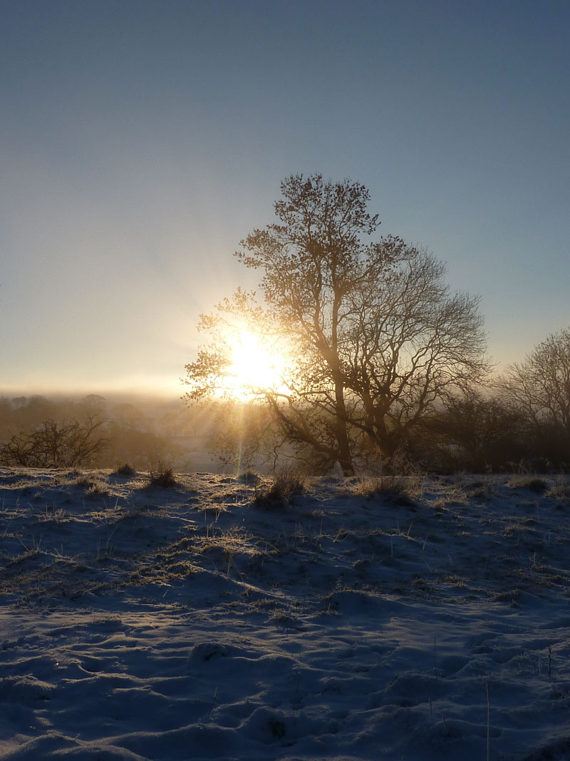 Misty View